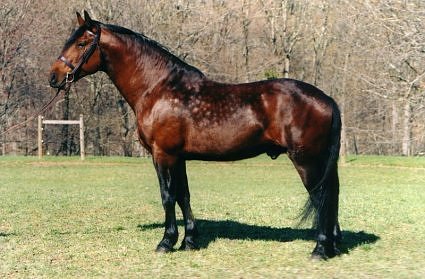 CASPIAN